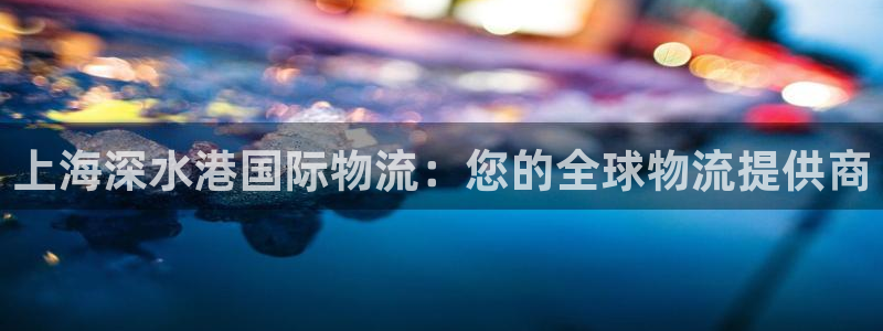 28圈注册问一问：上海深水港国际物流