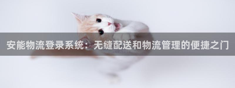 28圈退款教程：安能物流登录系统：无