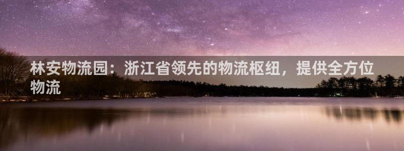28圈登录网：林安物流园：浙江省领先
