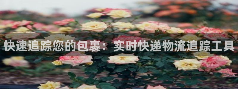 28圈链接：快速追踪您的包裹：实时快