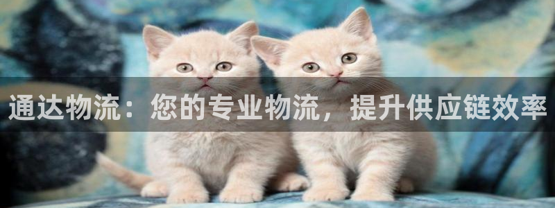 28圈是啥：通达物流：您的专业物流，