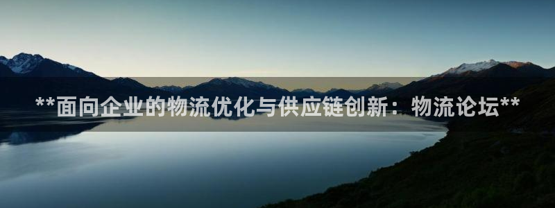 28圈电子：**面向企业的物流优化与