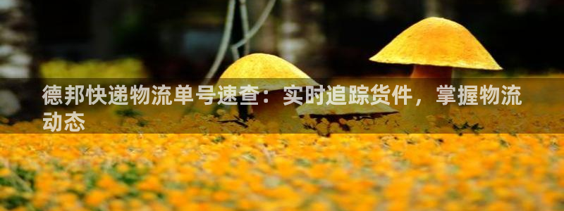 28圈app能退款吗：德邦快递物流单