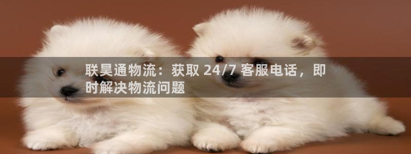 28圈充值不处理：联昊通物流：获取 