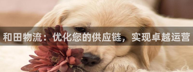 28圈官方网站预测