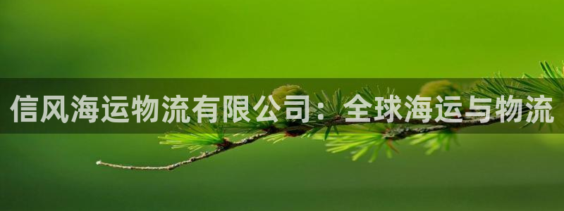 28圈官方版网站：信风海运物流有限公