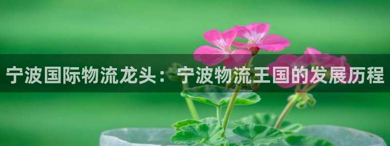 28圈加拿大预测：宁波国际物流龙头：