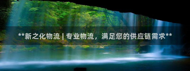 28圈南宫娱乐官网：**新之化物流 