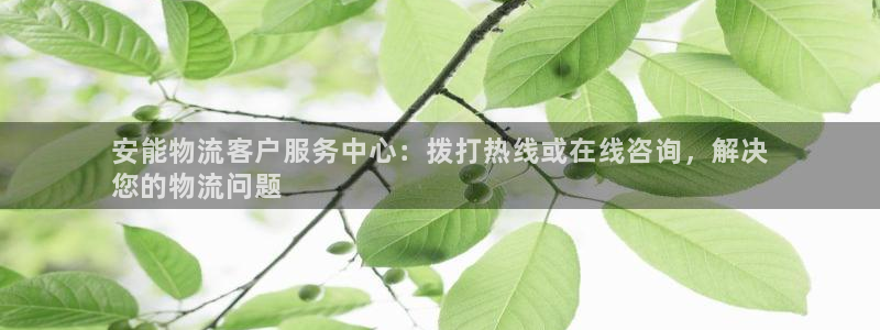 28圈怎么注册账号和密码：安能物流客