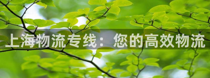 28圈是南宫旗下的吗：上海物流专线：