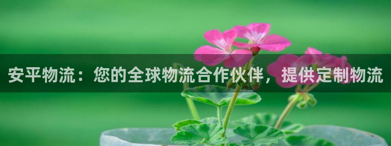 28圈为什么打不开：安平物流：您的全