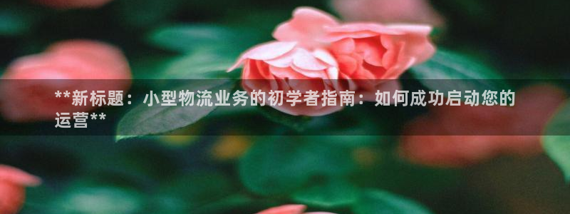 28圈app注册地址：**新标题：小