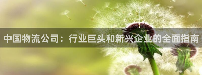 28圈合法吗：中国物流公司：行业巨头