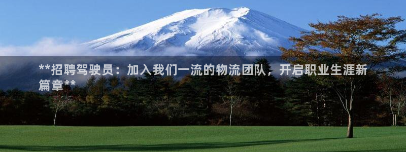 28圈注册与教程：**招聘驾驶员：加