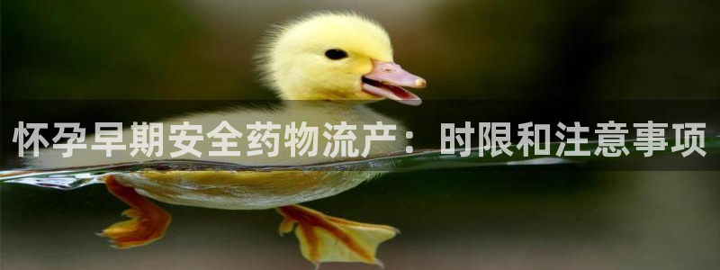 28圈充值方式：怀孕早期安全药物流产