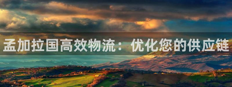 28圈链官网：孟加拉国高效物流：优化