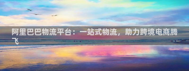 28圈现在狂杀：阿里巴巴物流平台：一