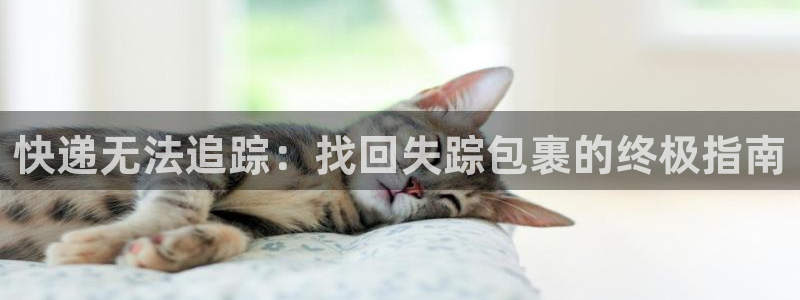 28圈充值不处理会怎么样：快递无法追