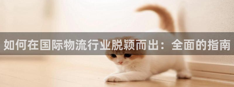 28圈分分28预测：如何在国际物流行