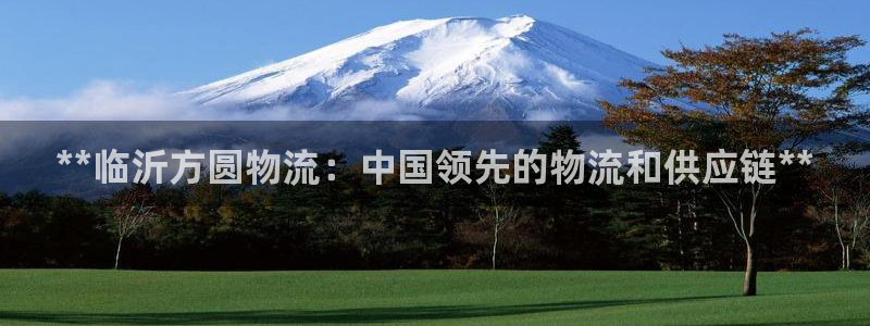 28圈注册号：**临沂方圆物流：中国