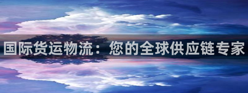 28圈pc预测：国际货运物流：您的全