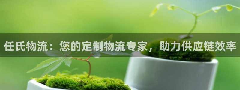 28圈是南宫旗下的吗：任氏物流：您的