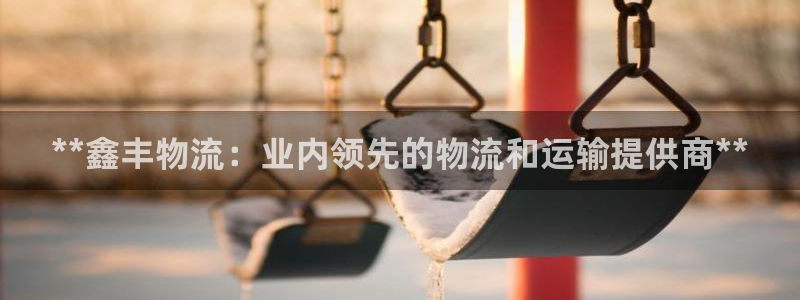 28圈p图上分下款通道：**鑫丰物流