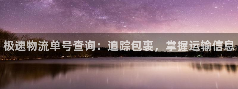 28圈违法吗：极速物流单号查询：追踪