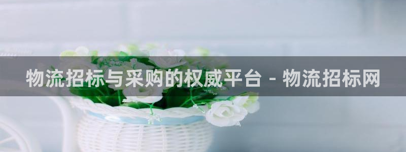 28圈注册网站多少：物流招标与采购的