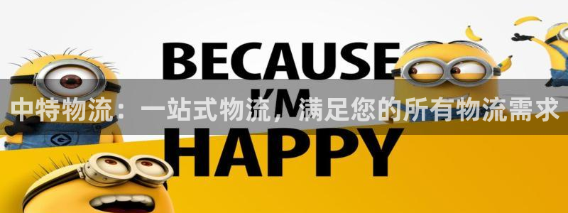 28圈网站怎么注册：中特物流：一站式