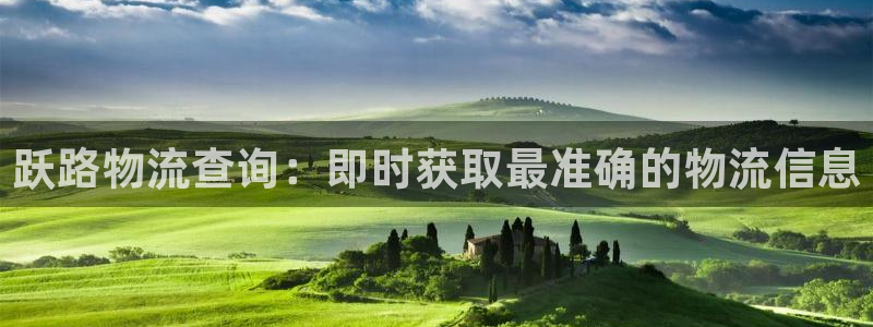 28圈技巧：跃路物流查询：即时获取最