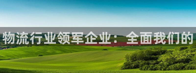 28圈注册链接：物流行业领军企业：全