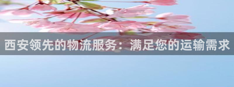 28圈提现未达5期是什么意思：西安领