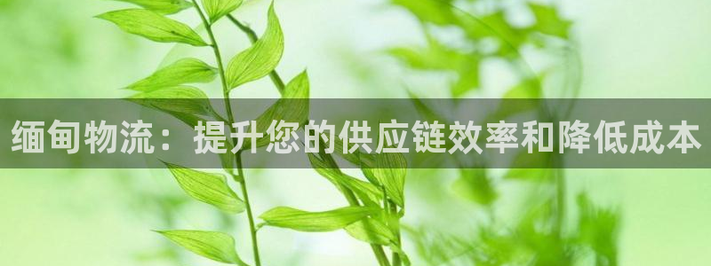28圈登录流程：缅甸物流：提升您的供