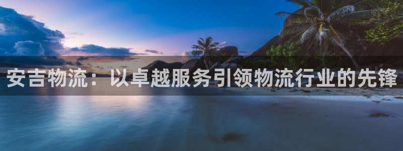 28圈游戏官网版：安吉物流：以卓越服