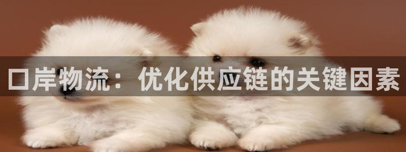 28圈注册登录链接流程：口岸物流：优