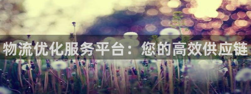 28圈注册登录链接流程