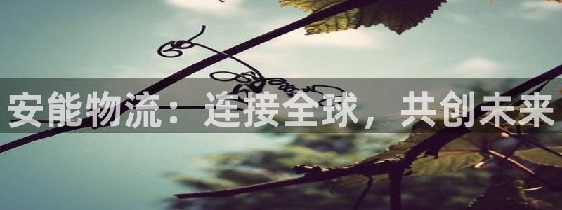 28圈是南宫旗下的吗