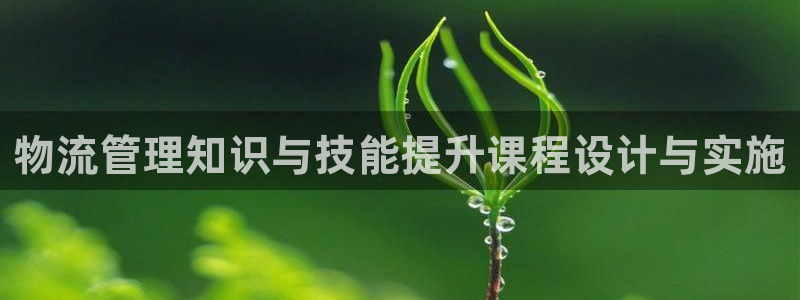 28圈充值不到账怎么办