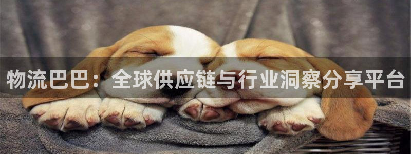 28圈APP是干什么的