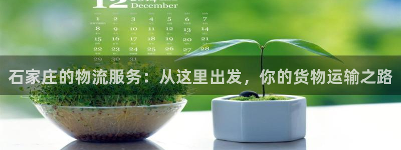 28圈黑平台吗：石家庄的物流服务：从这里出发，你的货物运输之
