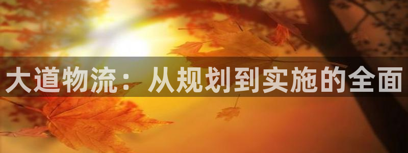 28圈娱乐官网网页下载：大道物流：从