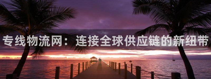 28圈忘记账号：专线物流网：连接全球
