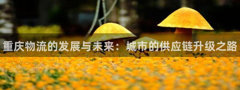 28圈官方官网：重庆物流的发展与未来