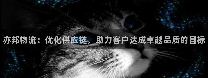 28圈软件总是闪退怎么回事：亦邦物流