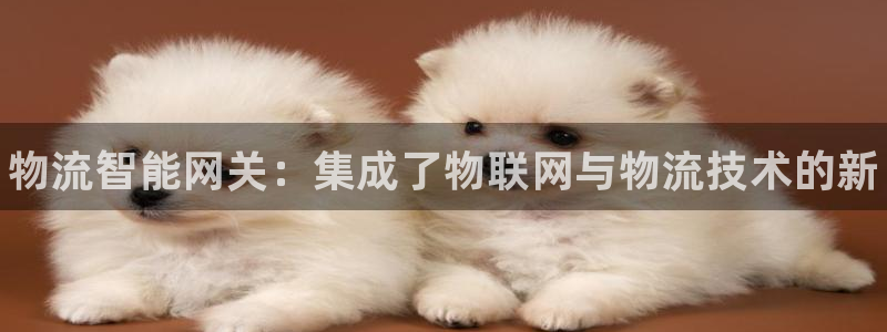 28圈官网下载链接是什么网站:物流智