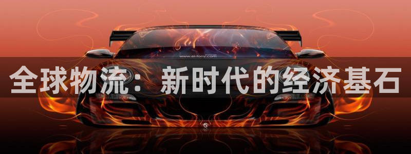 28圈官方版正版：全球物流：新时代的