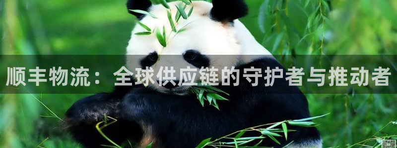 28圈充值方式：顺丰物流：全球供应链