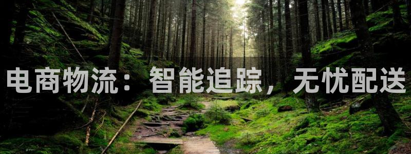 28圈下载链接是多少