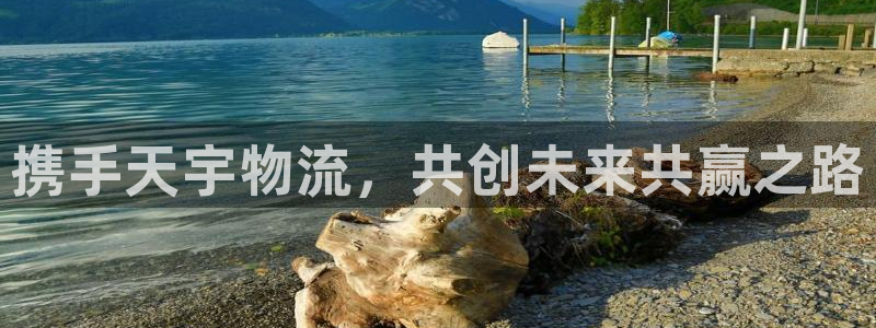 加拿大28圈是什么